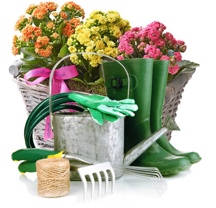 img-service